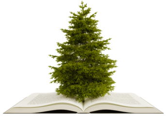 tree on opened book, 3d illustration rendering
