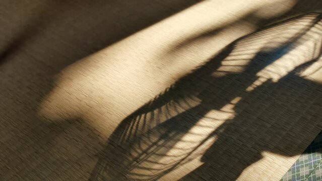 昭和レトロ　1970～80年代の日本の夏イメージ素材
