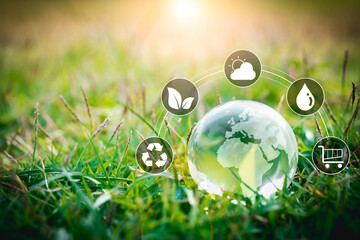 Crystal Earth On green grass Environment concept, glass globe in the grass. concept for environment and conservation and save clean planet, ecology. Earth Day banner with copy space.