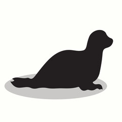 Fur Seal silhouettes and icons. Black flat color simple elegant Fur Seal animal vector and illustration.