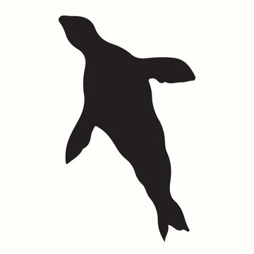 recommend clip art: Fur Seal silhouettes and icons. Black flat color simple elegant Fur Seal animal vector and illustration.