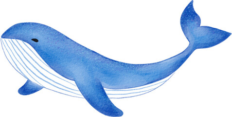 whale watercolor png © bentoe