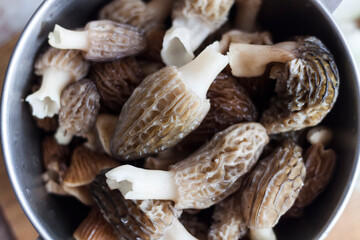 Spring Morel mushrooms in a metal bowl.