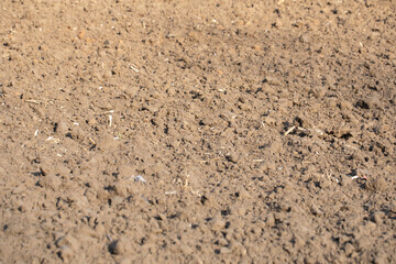 Agriculture, the soil, dirt after spring sowing. Poland