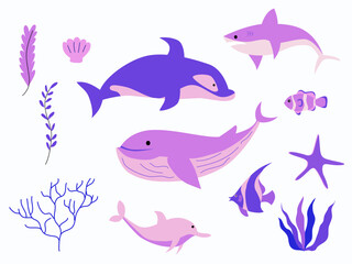 sea life, plants, vector and illustration