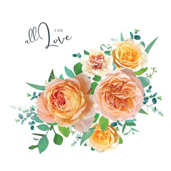 Summer floral bouquet with peach, orange, yellow garden rose flowers, carnation, green baby breath eucalyptus leaves. Watercolor style, editable vector illustration. Botanical wedding invite love card