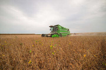 Obraz premium Harvesting of soybean