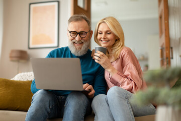 Senior Couple Using Laptop Browsing Internet Enjoying Weekend At Home