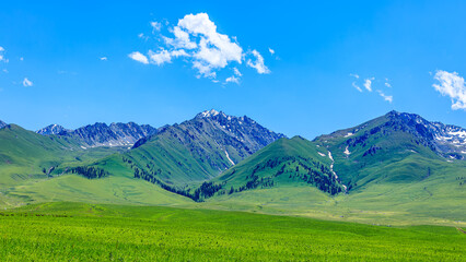 Green grassland and mountain natural landscape in Xinjiang, China.