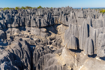 Tsingy de Bemaraha nature reserve, Madagascar.