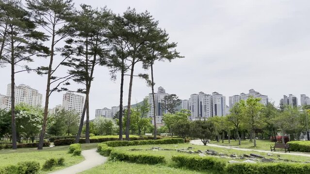 공원 산책로의 풍경 
