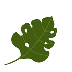 Tropical green leaf clipart, png isolated on transparent background. Wedding illustration png file, jungle green leaf pencil drawing. Design for birthday invitation, wedding and greeting cards
