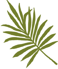 Fototapeta na wymiar Tropical green leaf clipart, png isolated on transparent background. Wedding illustration png file, jungle green leaf pencil drawing. Design for birthday invitation, wedding and greeting cards 