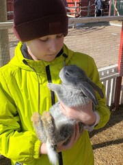 Teenage boy holds little grey shaggy rabbit in hands, focus on rabbit.A teenage boy in a bright green jacket holds a small gray shaggy rabbit in his hands, focusing on the rabbit. Agriculture, animal 