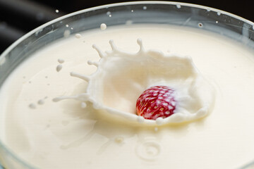 Strawberry falling into splashing milk. Isolated on white.