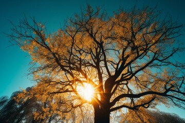 Fototapeta na wymiar The sun-yellow tree silhouetted against a clear blue sky. Generative AI