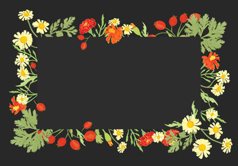 Isolated frame with hand drawn garden flowers