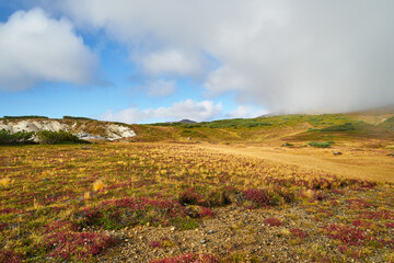 Fototapeta premium 北海道 旭岳の紅葉 