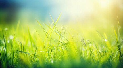 Obraz premium Spring and summer background and sun flare