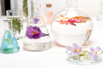 Preparation of perfumes from natural ingredients, aromatherapy. Fresh flowers in chemical flasks and test tubes