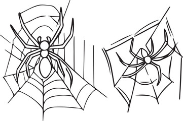 Pair of Spiders making web vector line art 