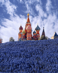 Zaryadye Park. spring in Moscow. Blooming flowers on the background of St. Basil's Cathedral. blue muscari on the background of the sights of the capital.