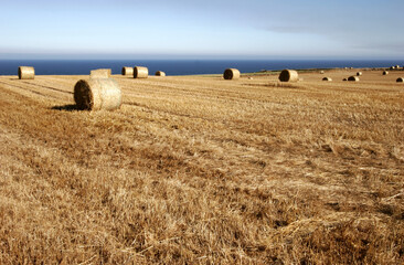 Field with bale of hay - near Stonehaven - Aberdeenshire - Grampian - Scotland - UK