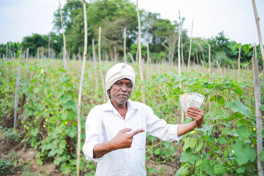 Indian Chinese okra farming , farmer holding baby Chinese okra in farm