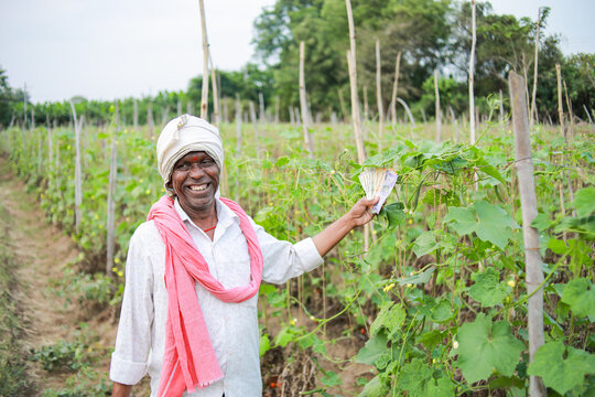 Indian Chinese okra farming , farmer holding baby Chinese okra in farm