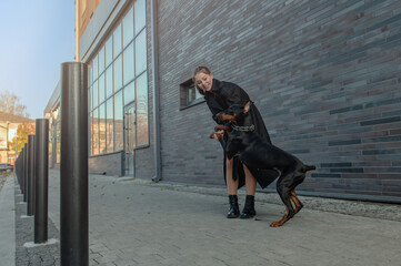 Doberman on a walk in the city. Woman with Doberman on the city street. Young woman walking her dog through street.