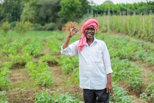 Indian Chinese okra farming , farmer holding baby Chinese okra in farm