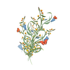 Bouquet of wild flowers and fluttering butterflies isolated on transparent background. Celebration watercolor plant illustration for greeting card, different invitation templates, birthday cards