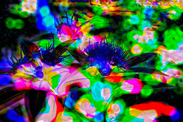 Obraz na płótnie Canvas A dreamy and ethereal abstract flowers background