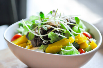 salad or beef salad, beef and vegetable salad or mixed vegetable salad.