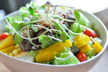 salad or beef salad, beef and vegetable salad or mixed vegetable salad.