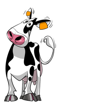 Cute and friendly holstein cow looking straight at the viewer with face turned to the side smiling and waving its tail cartoon vector illustration ready for printing