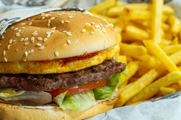hamburger with french fries