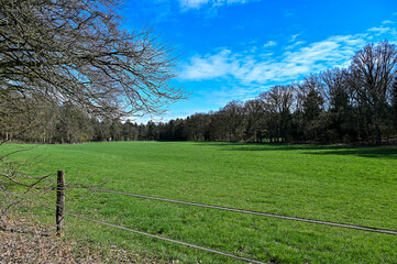 Naturpark Marxener Paradies in der Lüneburger Heide, Lüneburg mit blauem Himmel, Niedersachsen, Deutschland