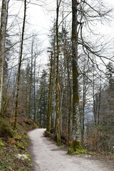 Königsee-Alpen-Bayern-Deutschland