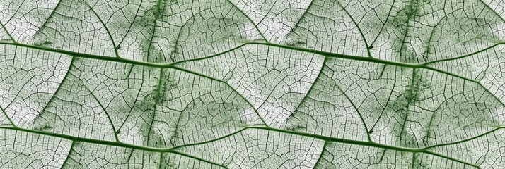 Naklejka na ściany i meble Macro texture of beautiful leaves in green tones. AI generative illustration.