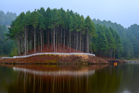 Reflection of trees in the lake. SEEH LAKE, Biirii, Ziro, Arunachal Pradesh, India. 'SWKHE LAKE" man-made marble located at Ziro, Arunachal Pradesh, Indi. A major tourist attraction.