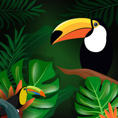 Tropical forest,Summer poster, background with beautiful exotic birds and plants. toucan leaves and flowers vector illustration