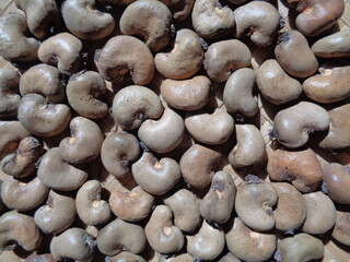 Cashew nut on the drying process with a natural background