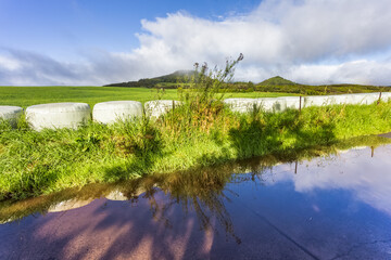 Pâturages et route inondée à la Plaine des Cafres, île de La Réunion 