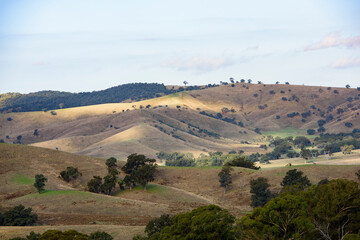 Obraz premium Acheron Cutting in Acheron, Victoria, Australia