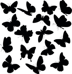 Butterfly Silhouette Set