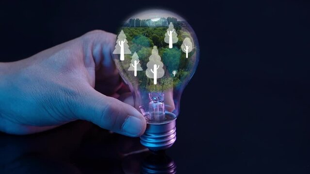 Light bulb with virtual tree icons in human hand. Net zero greenhouse gas emissions target. Climate neutral long term strategy. Ecological, renewable energy and save environment concept.