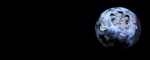 Close-up of blueberry in water drops on a dark background with copy space