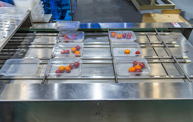 Automatic food flow wrapping machine.fruit on flow pillow packing machine.