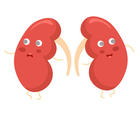 Two funny cartoon kidneys with eyes, arms and legs. One is sad and the other is happy.